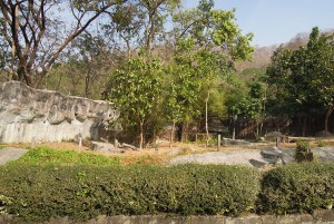 DSCN6589