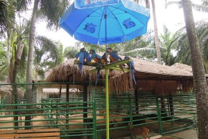 DSCN8489