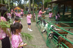 P1020023