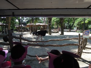 DSCN0875