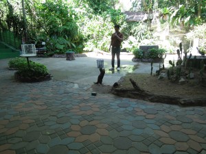 DSCN0897