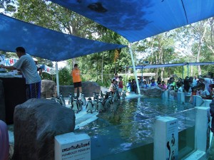 DSCN0923
