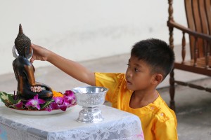 IMG_4527