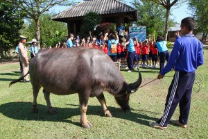 IMG_8645