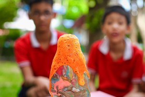 IMG_0831