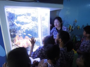 SOT17020124